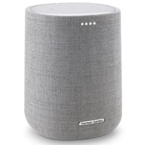 HARMAN KARDON Citation One MKIII Altavoz Bluetooth y Wifi Gris